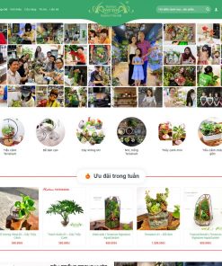 Theme wordpress bán cây xanh terrarium