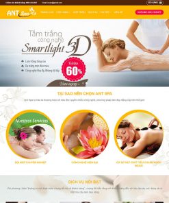theme wordpress spa