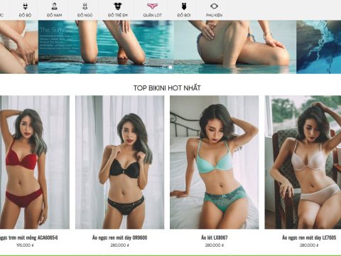 Theme wordpress flatsome bán bikini