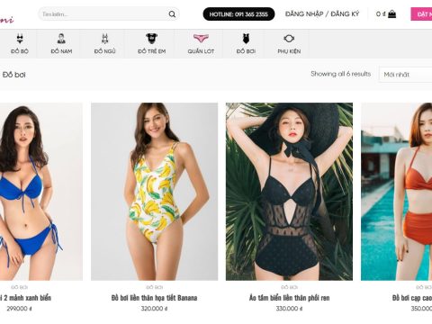 Theme wordpress flatsome bán bikini