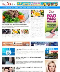 theme wordpress tin tức