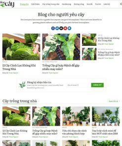 Theme wordpress tin tức 18