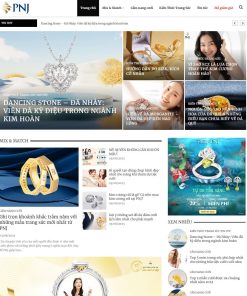 Theme wordpress tin tức 22