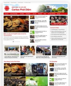 Theme wordpress tin tức 07